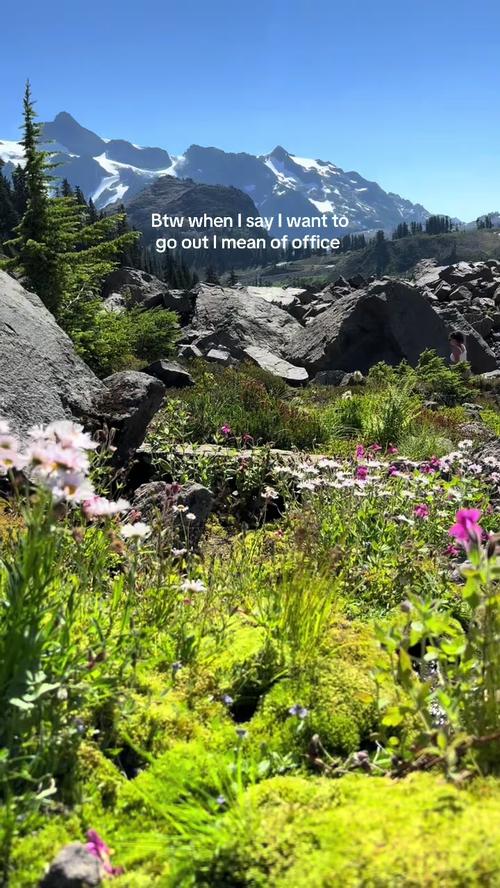 Post by oliviaisoutofoffice