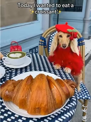 Post by clementinethedox