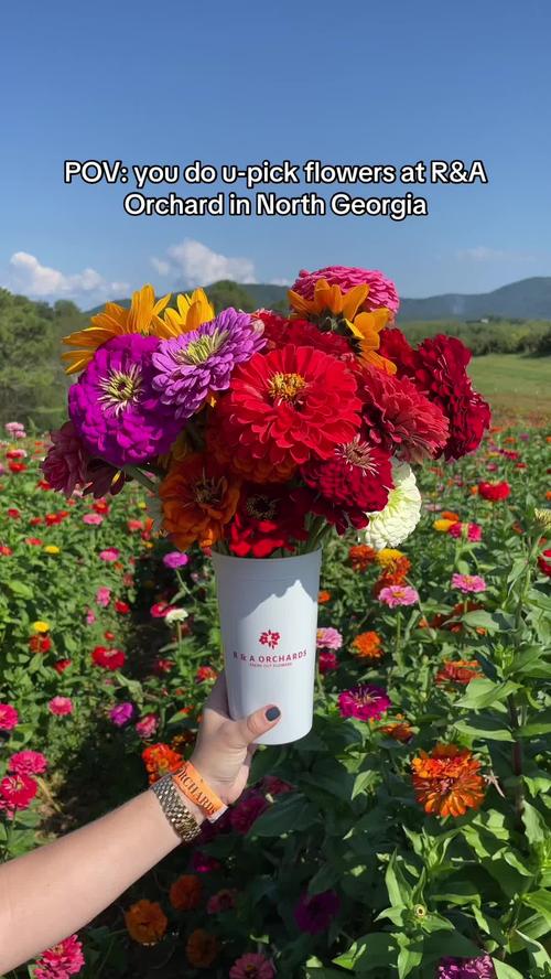 Post by eating.through.atlanta