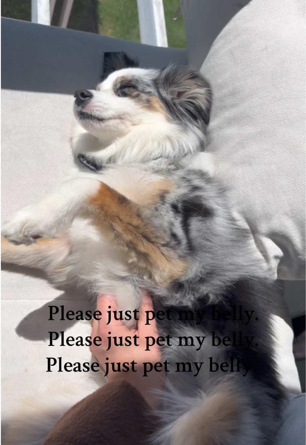 Post by karaelizabethh