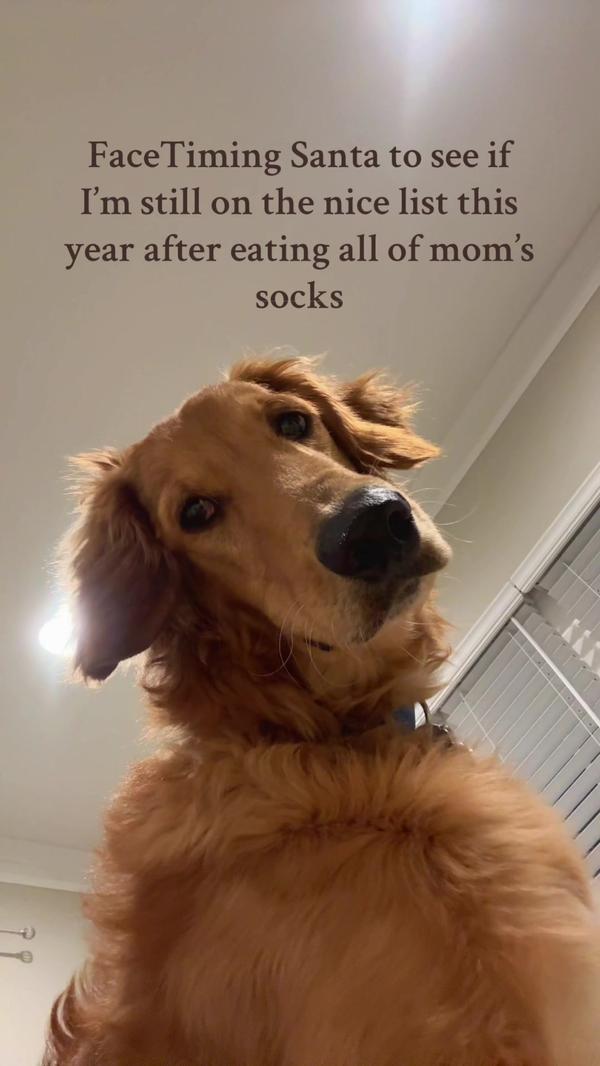 Post by lucymantooth