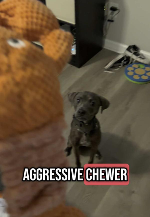 Post by areismanlife