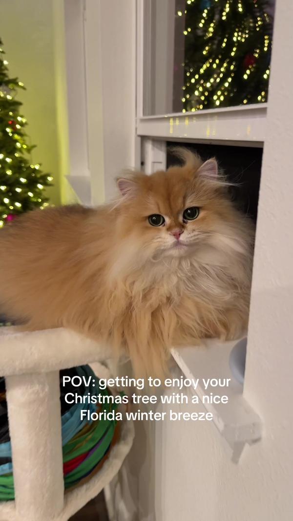 Post by malanabouarouy