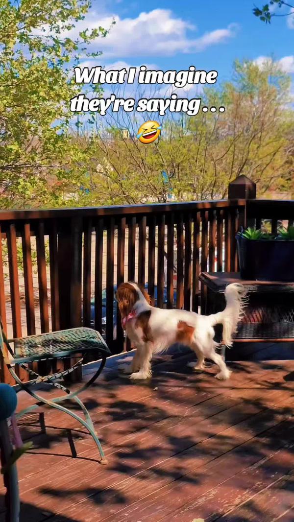 Post by justbugginout