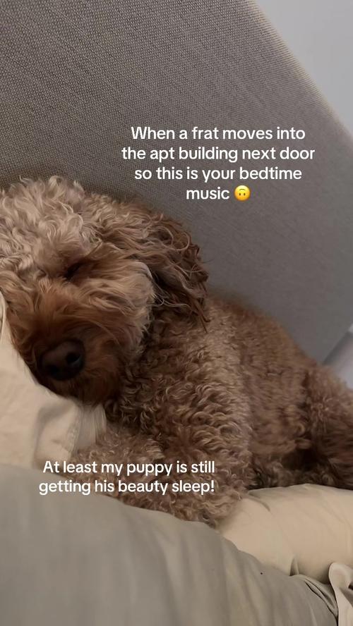 Post by soph_certified