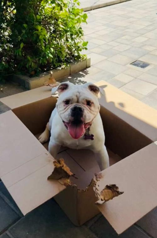 Post by activecleangreen