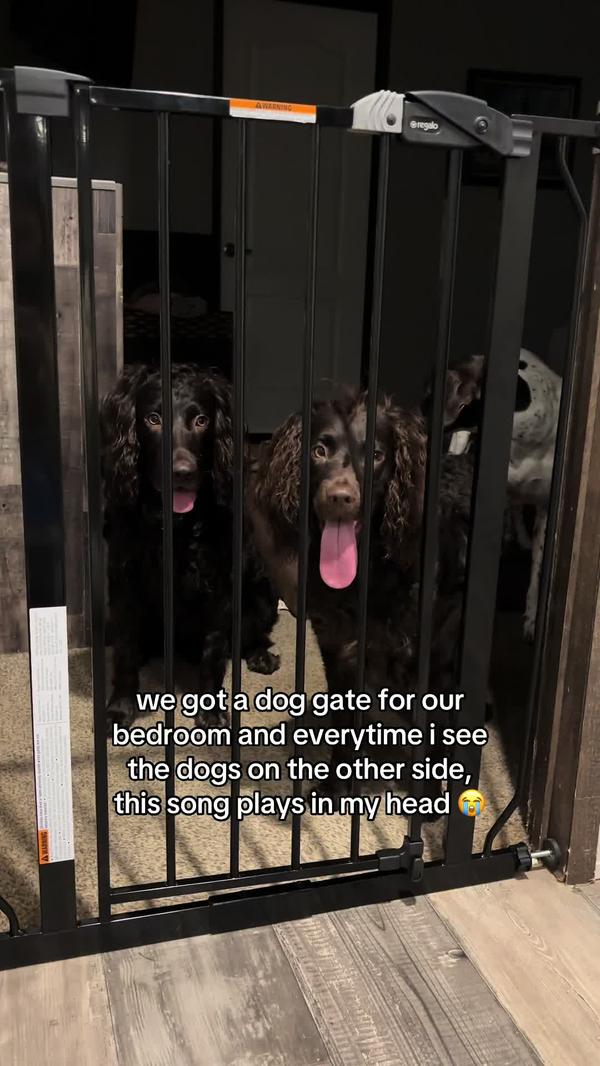 Post by annmariesmith_