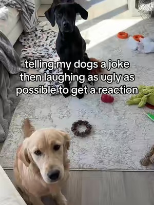 Post by caitlyngoldberg