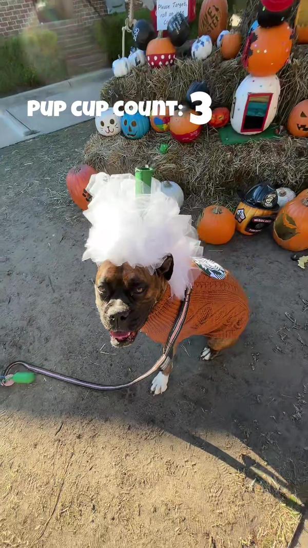 Post by luckaiastrand