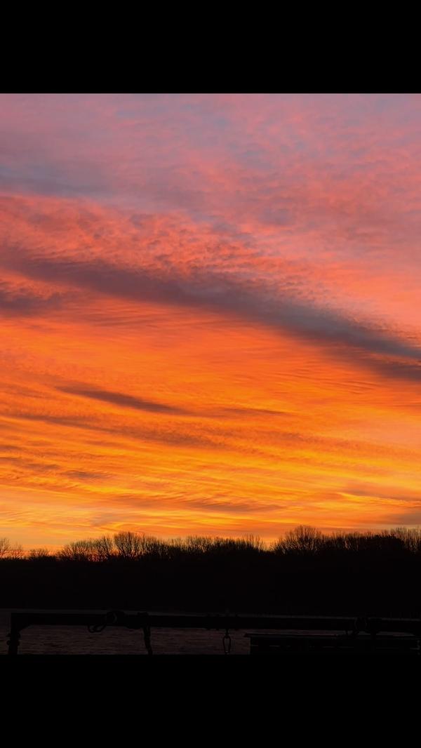 Post by ginlbjohnson