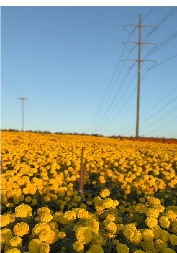 Post by tracyhazel93