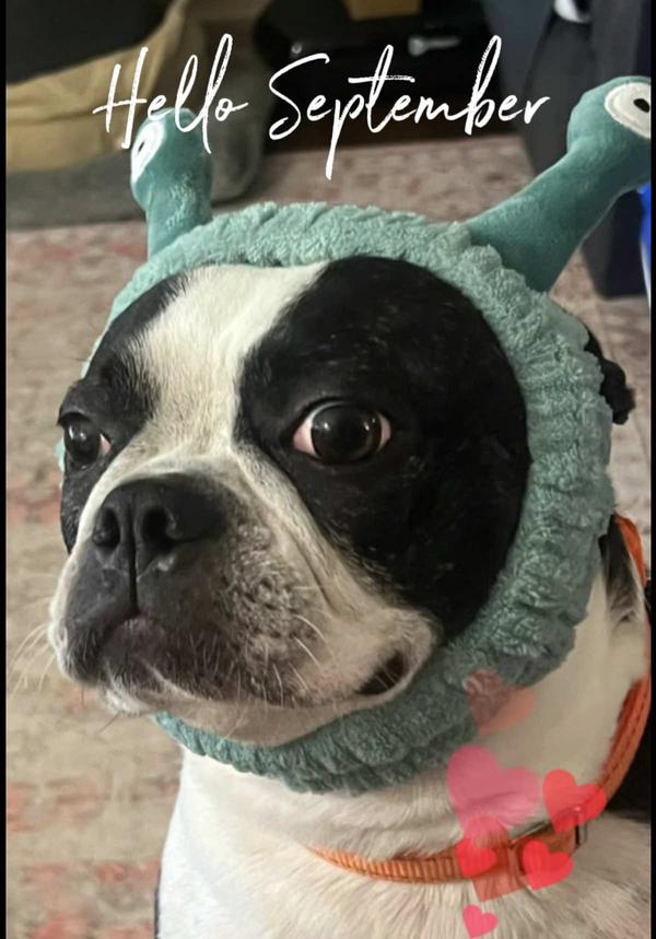 Post by you.live.and.you1