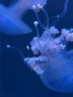 Post Cover Image