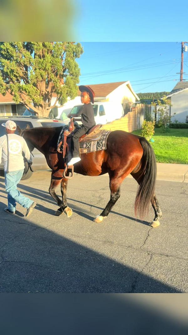 Post by laticebutlerhall