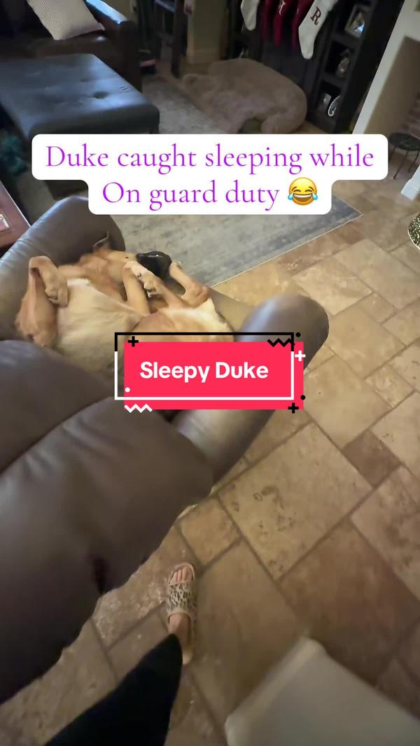 Post by jessierobbins04