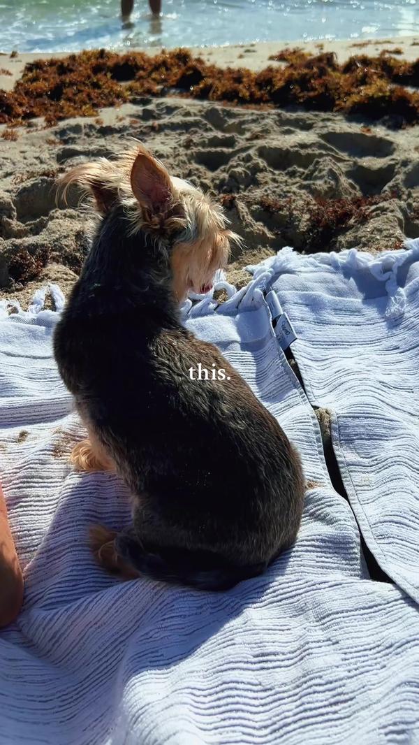 Post by annalisewalksler