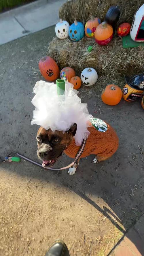 Post by luckaiastrand