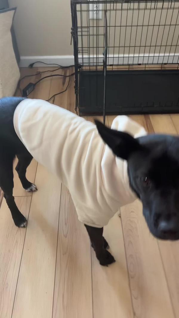 Post by positivelyapril