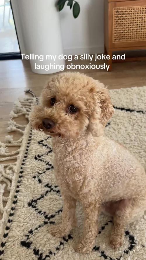 Post by lidiafweston