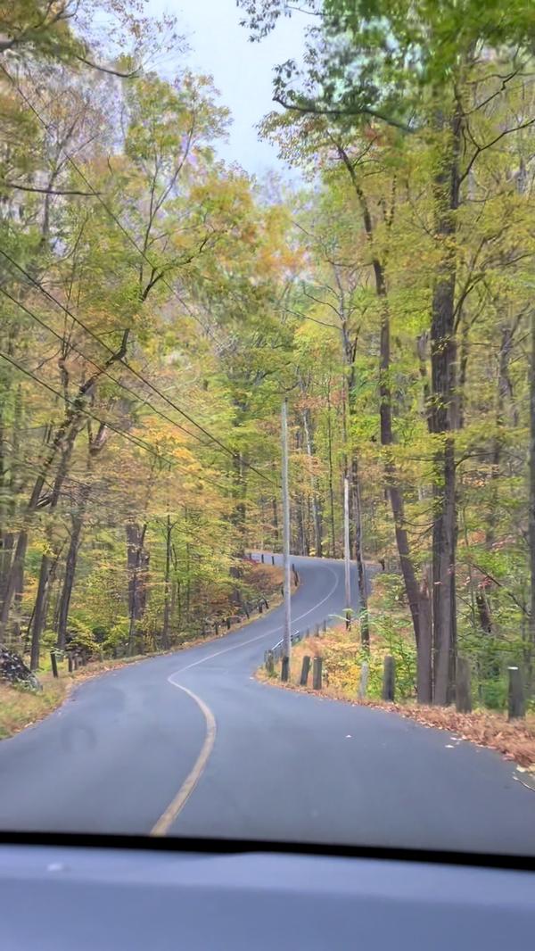 Post by lilliesaperman