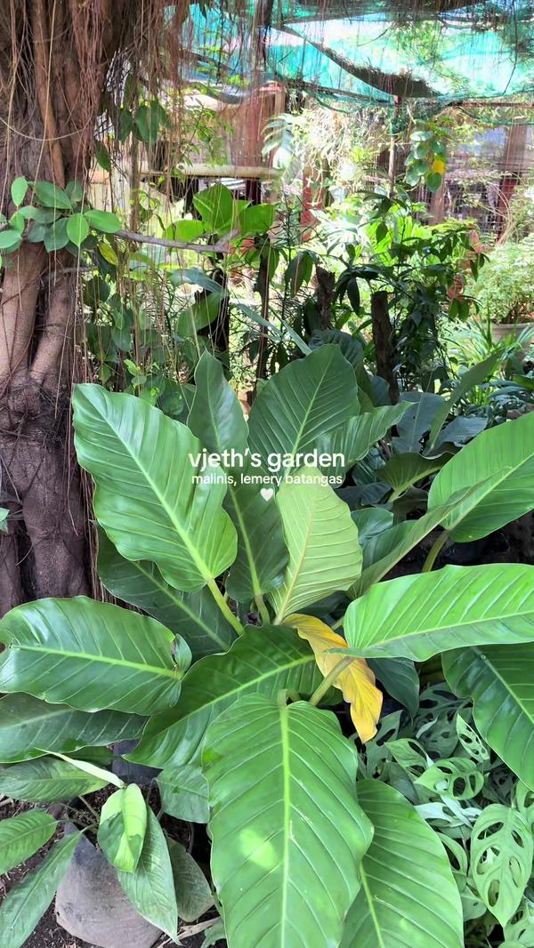 Post by linds.moreno