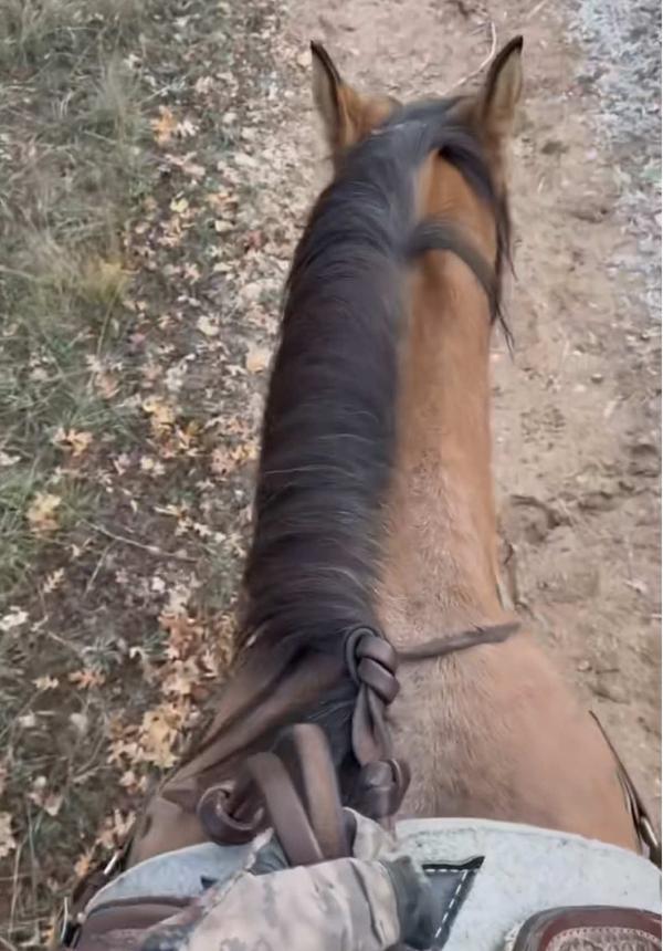 Post by kierstenhayley