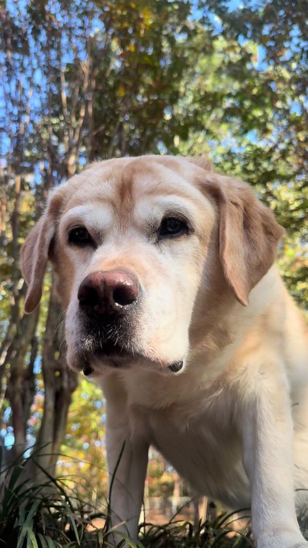 Post by sarah_hamaker