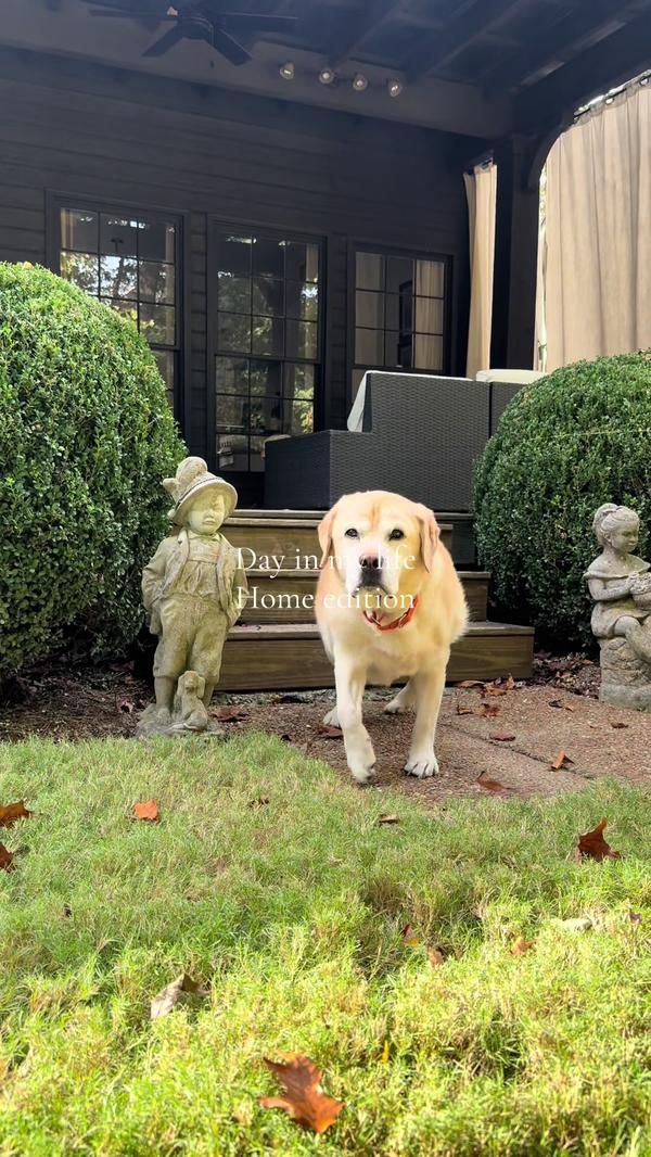 Post by sarah_hamaker