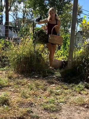 Post by simplysophia._