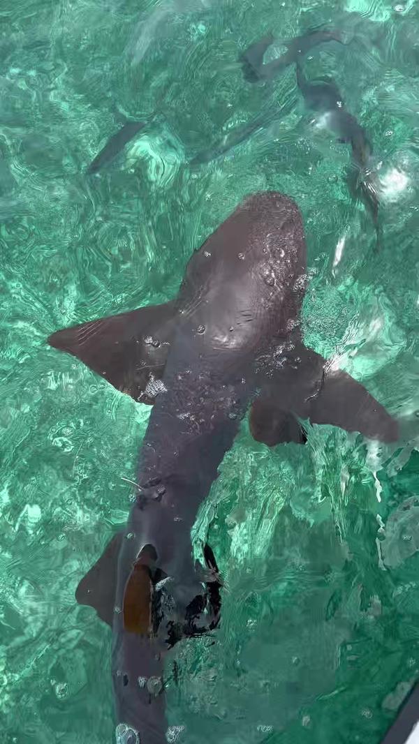 Post by _preciousbanks