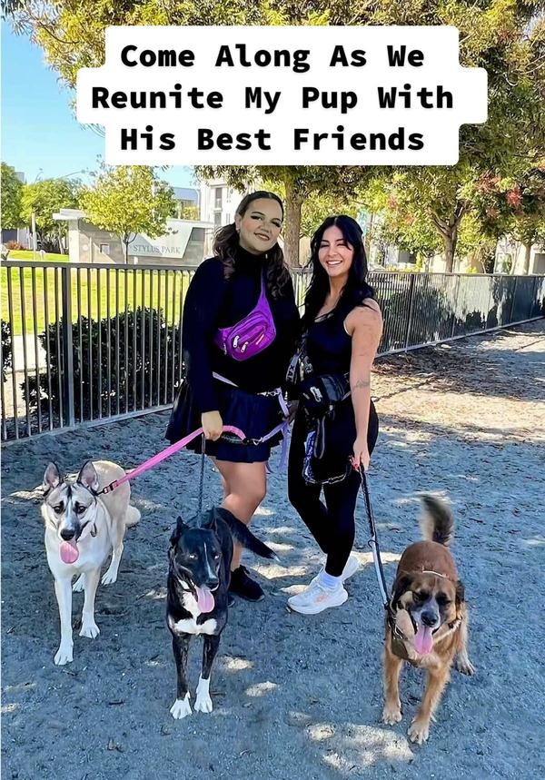 Post by lifewithjacqs