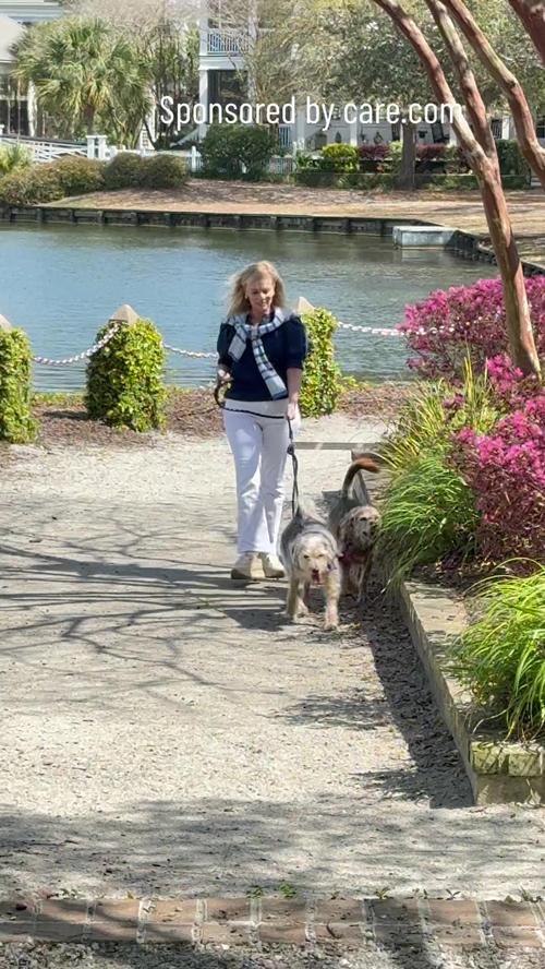 Post by thecollarfind