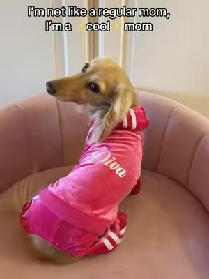 Post by clementinethedox