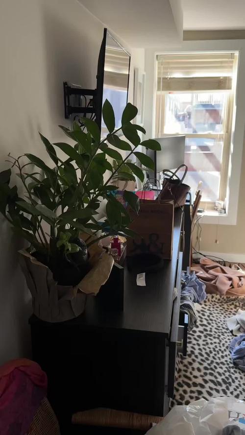 Post by drfettuccine123