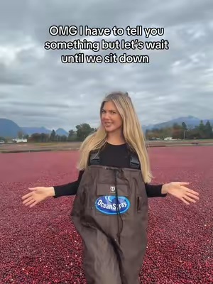 Post by sophiapierson