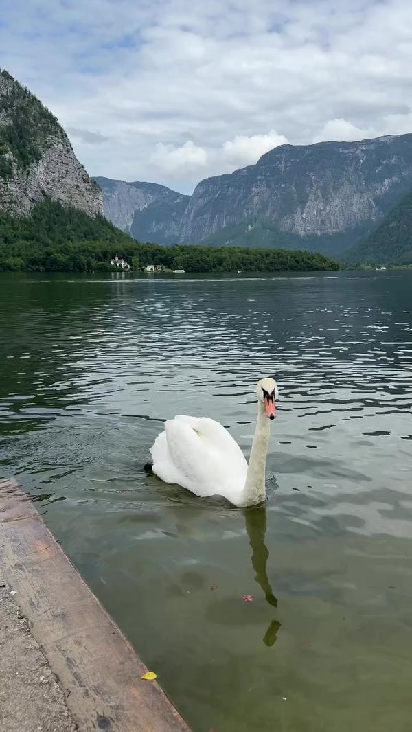 Post by kateno4eklala