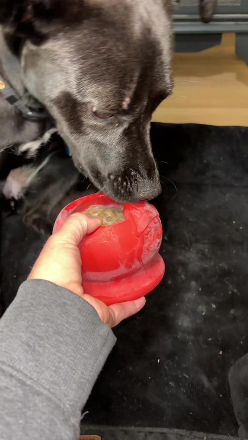 Post by positivelyapril