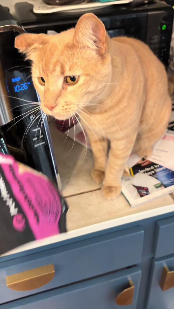 Post by zoetheyogarealtor