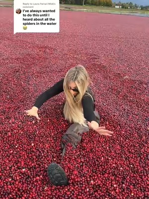 Post by sophiapierson