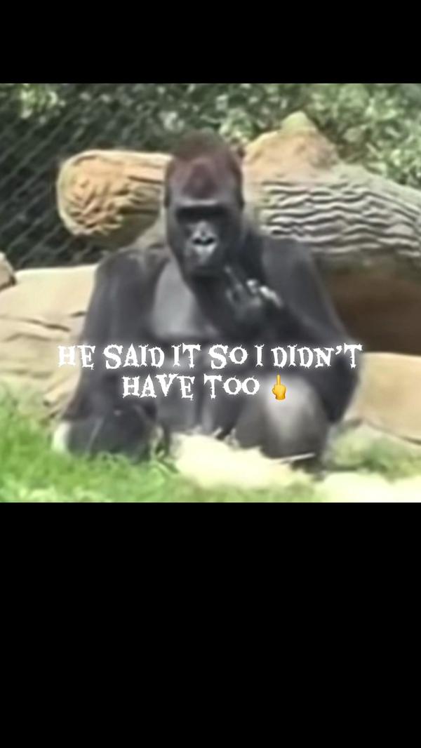 Post by mamaturtle08