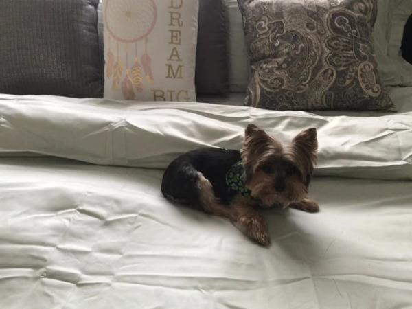 Post by vanesellsmiami