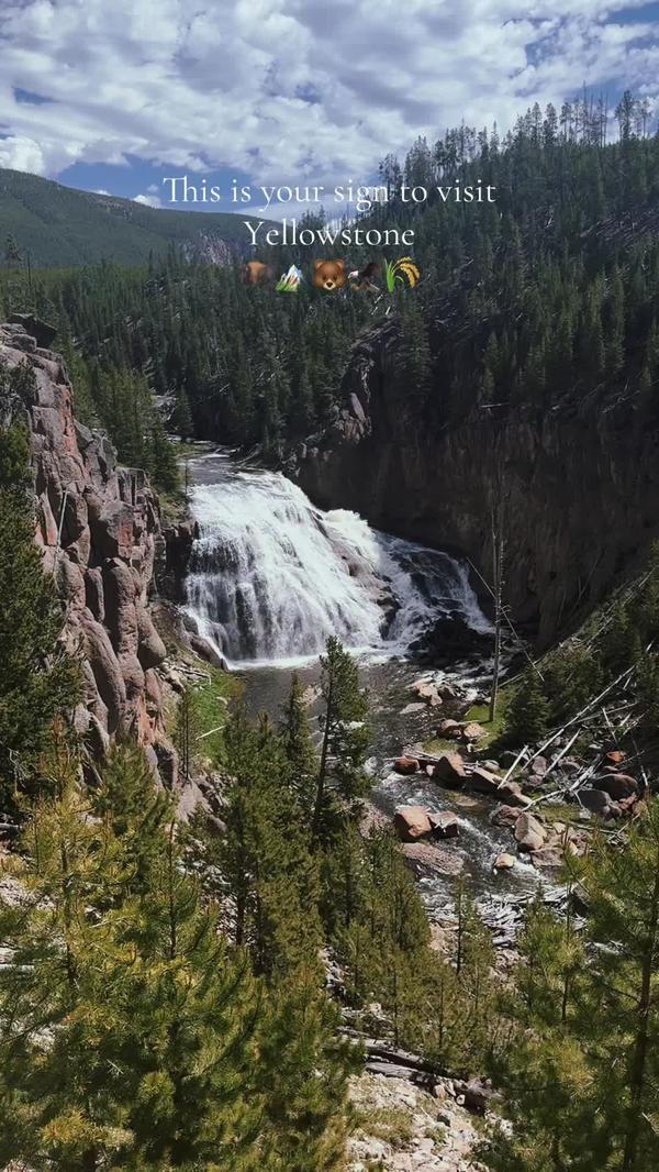 Post by morganbuckner14